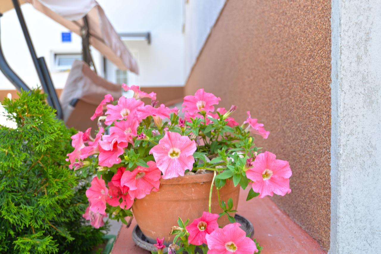 Apartment Nada 1451 Fažana Kültér fotó
